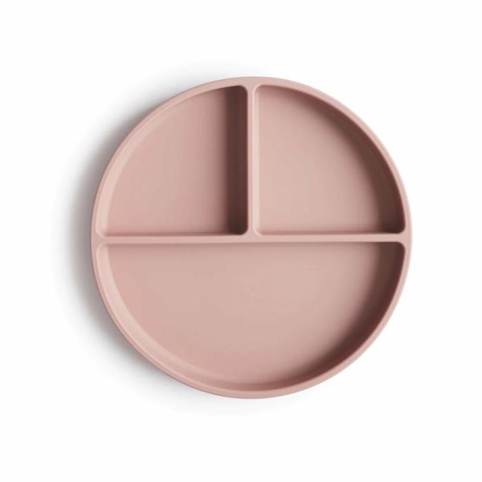 Silicone Suction Plate – Blush Feed